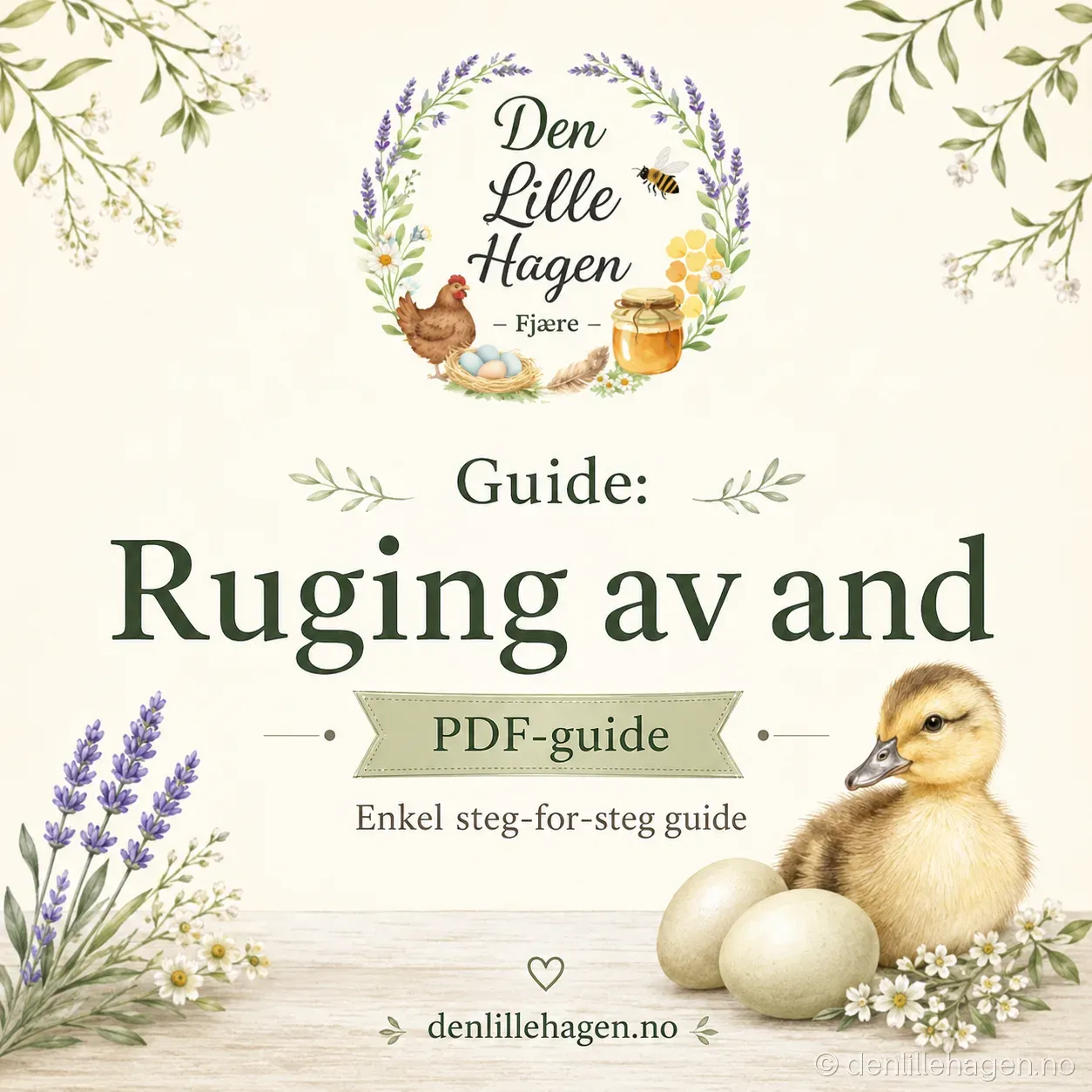 Guide: Slik ruger du ut and – PDF