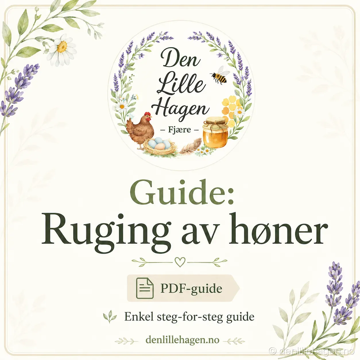Guide: Slik ruger du ut høner – PDF