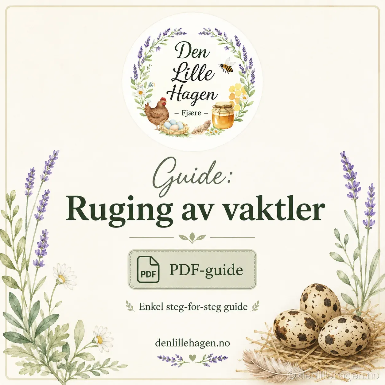 Guide: Slik ruger du ut vaktler – PDF