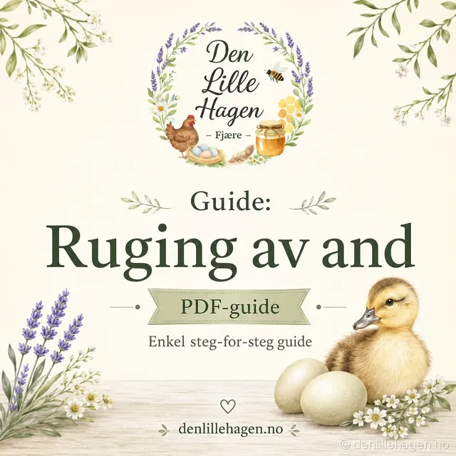 Guide: Slik ruger du ut and – PDF