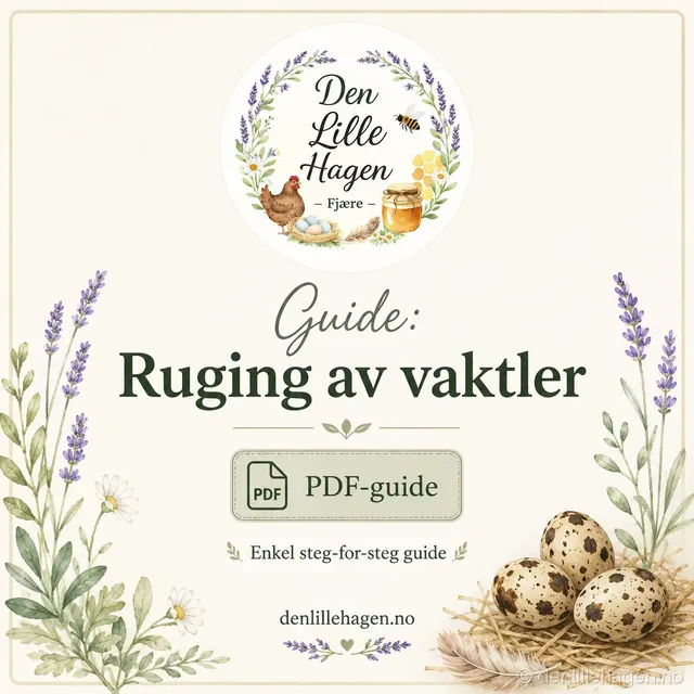 Guide: Slik ruger du ut vaktler – PDF