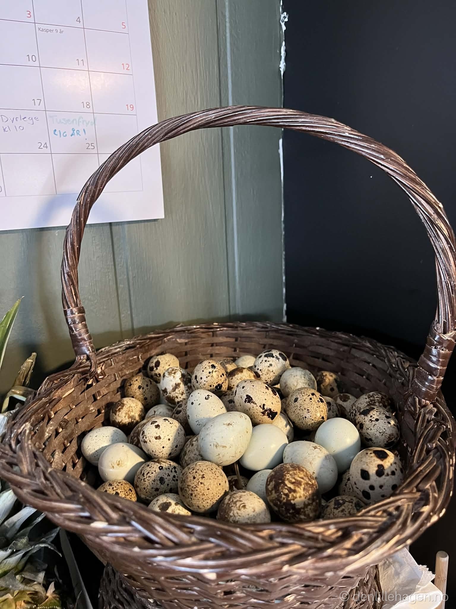 🥚 Hva er forskjellen på høneegg, andeegg og vaktelegg?