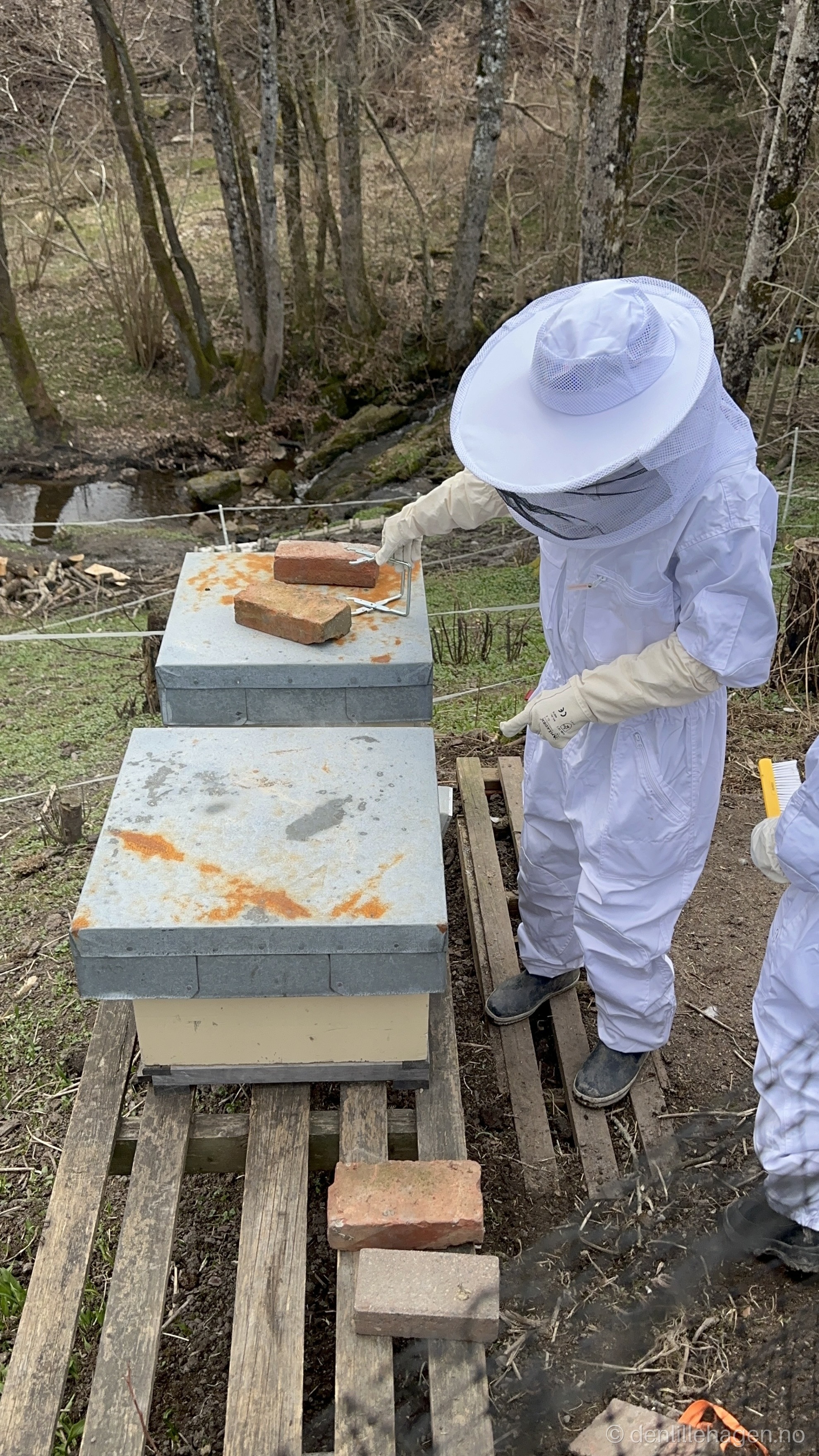 Top 10 ting som er bra med bier