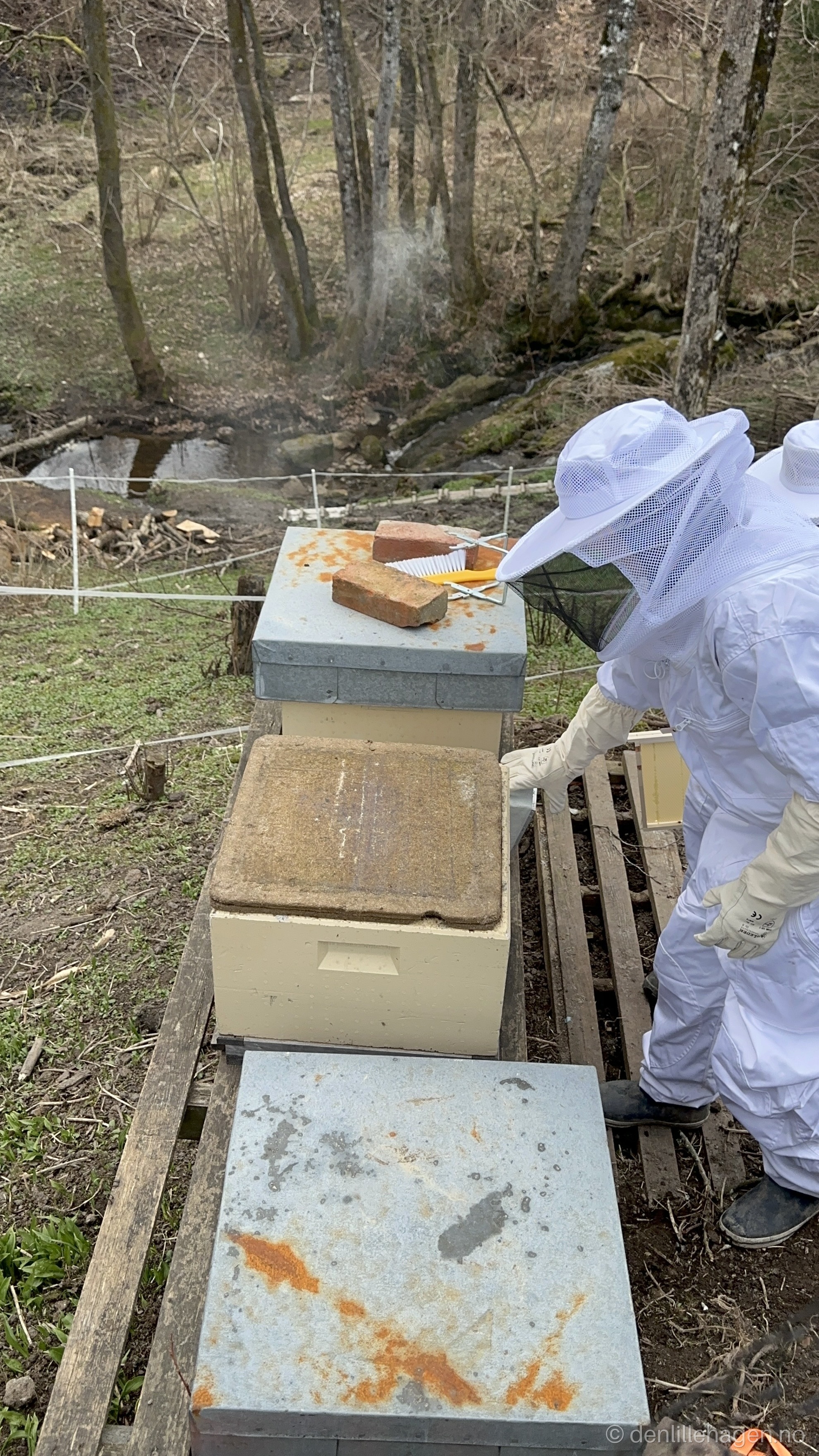 🍯 Lokal honning og bier i Den Lille Hagen