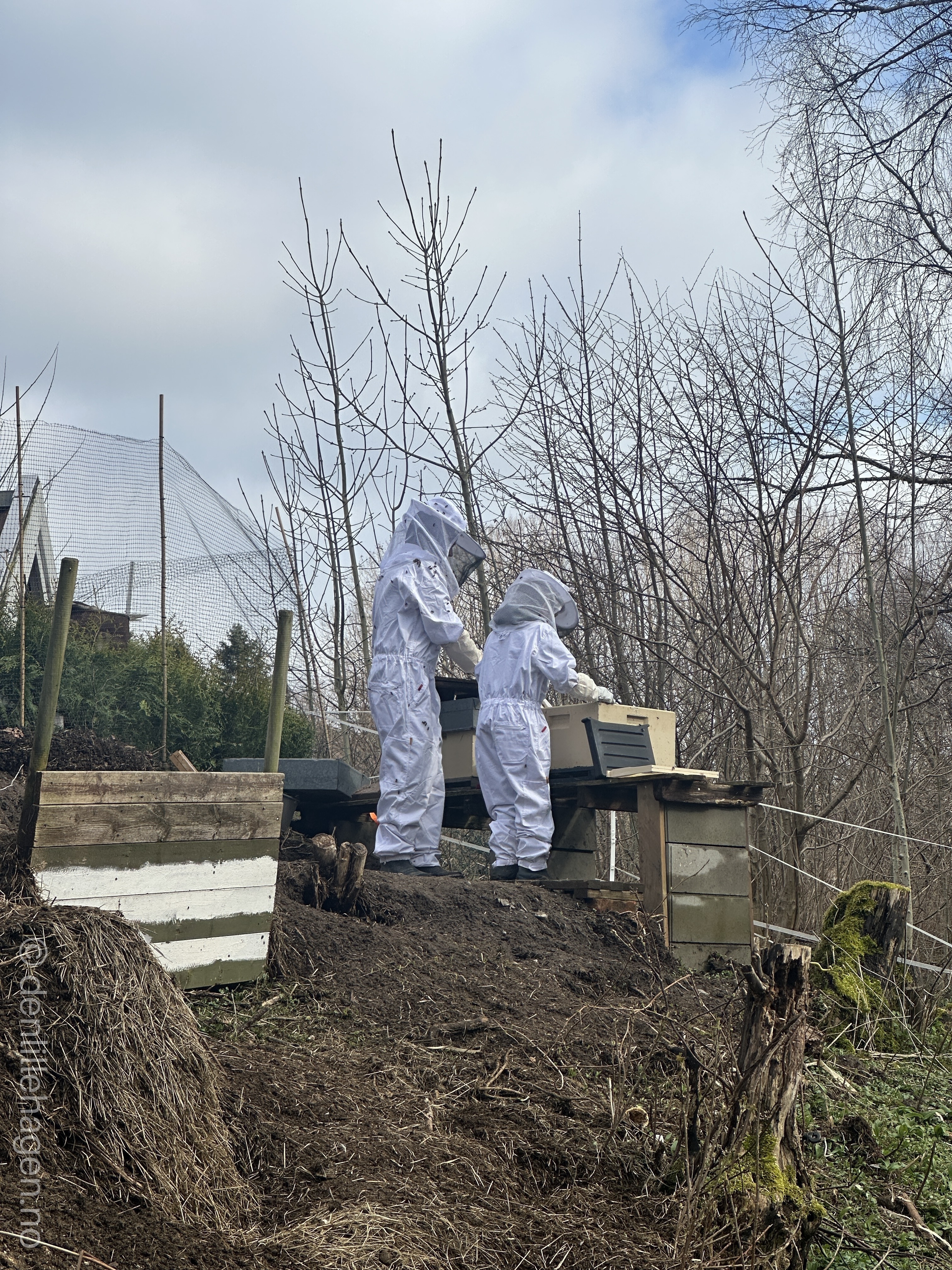 🌿 Småbruk i Grimstad – livet i Den Lille Hagen