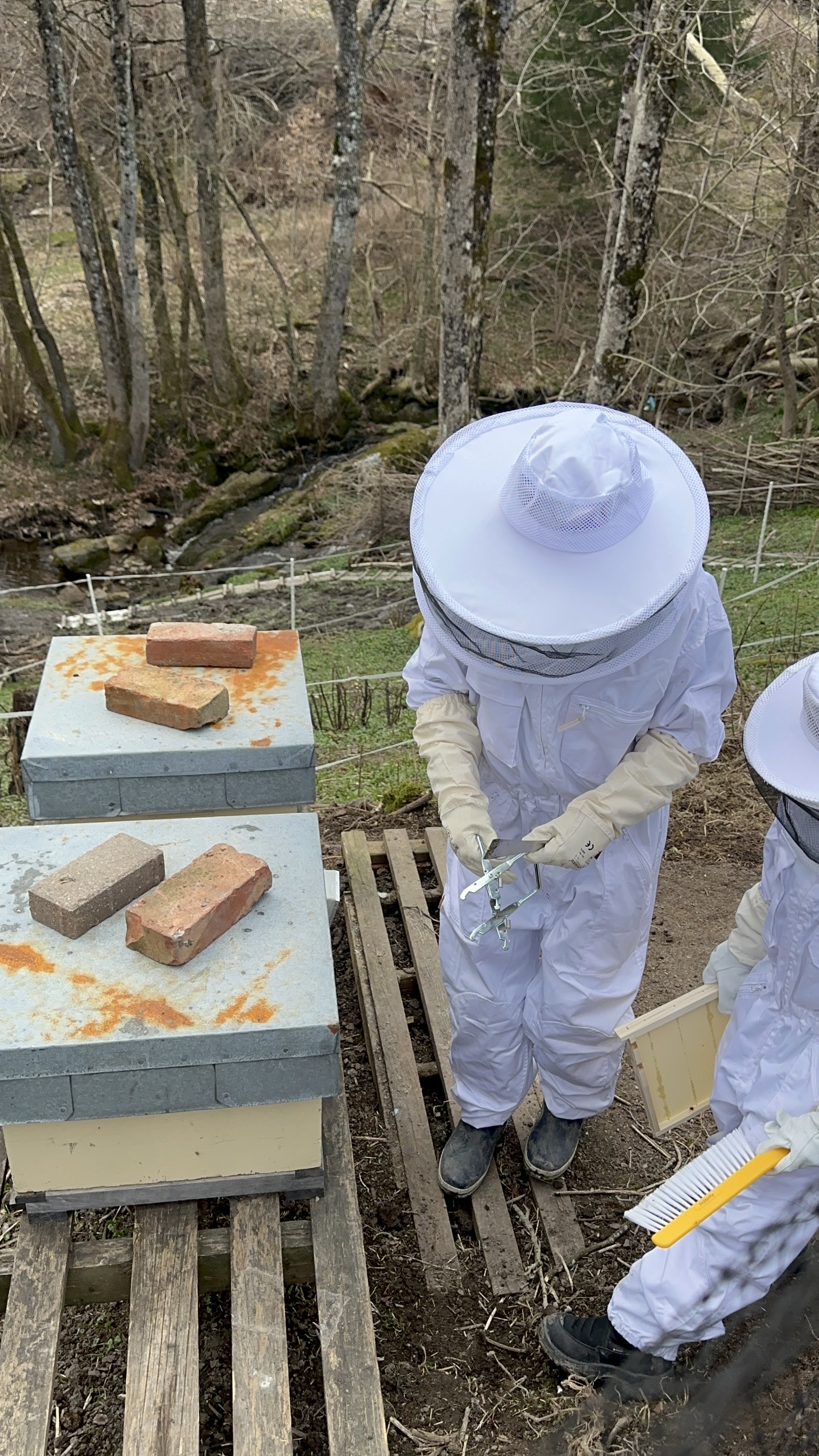 Kasper sjekker biene