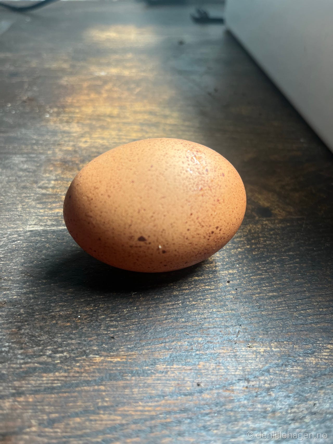 Hønse egg-mat egg 🥚