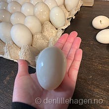 Andeegg 🦆 mat-egg 🥚6 stk 45kr🦆