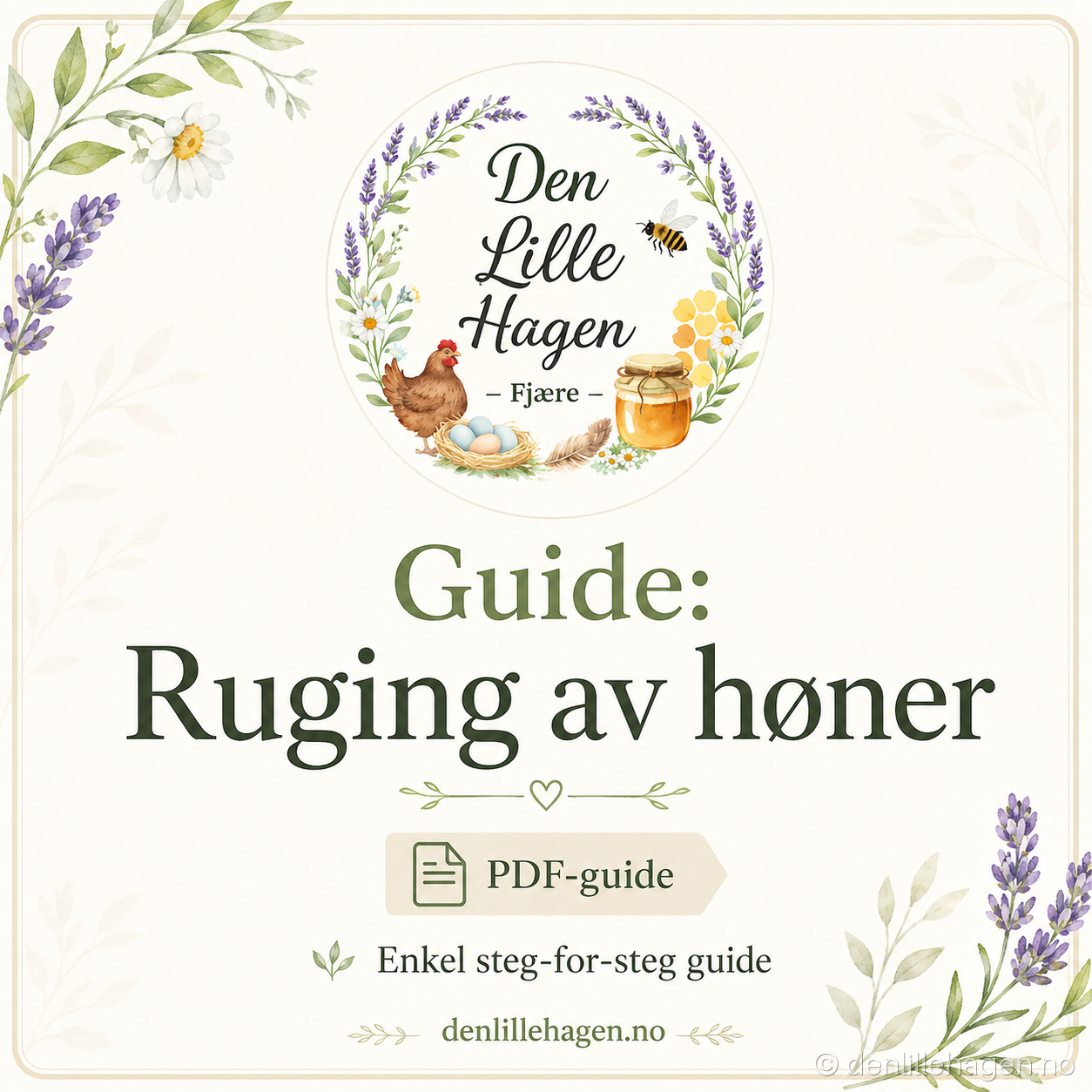 Guide: Slik ruger du ut høner – PDF