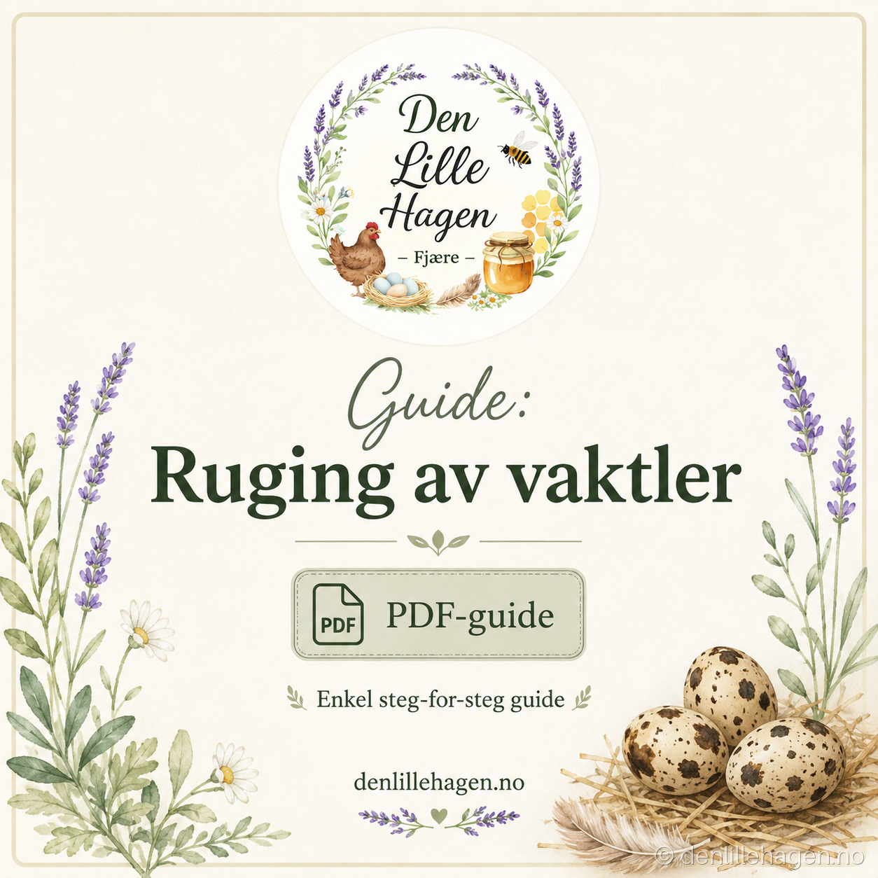 Guide: Slik ruger du ut vaktler – PDF